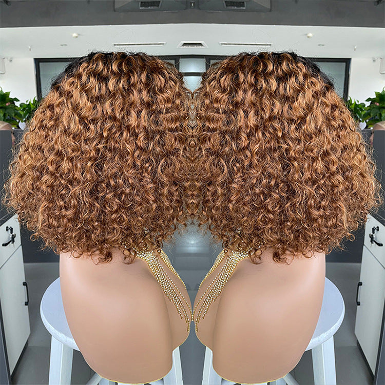 Curly Human Hair Lace Wig