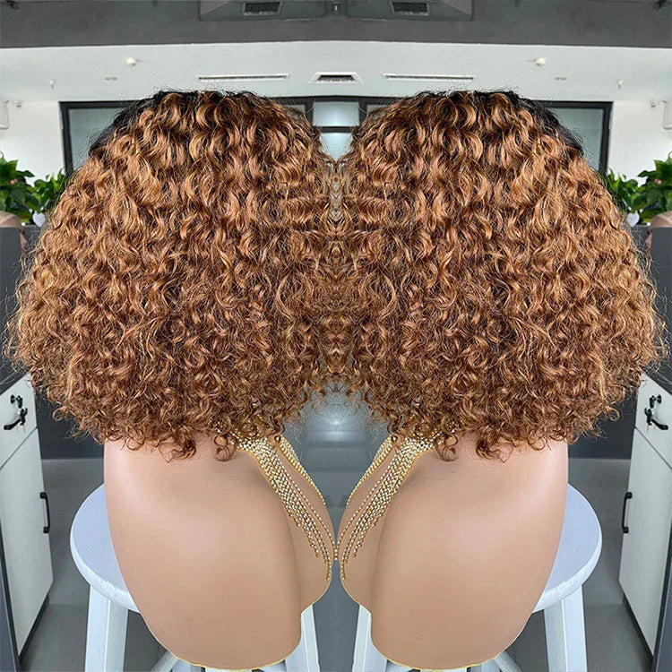 Curly Human Hair Lace Wig