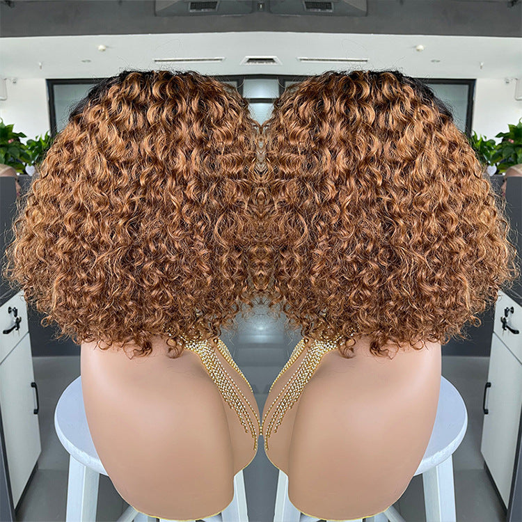 Curly Human Hair Lace Wig