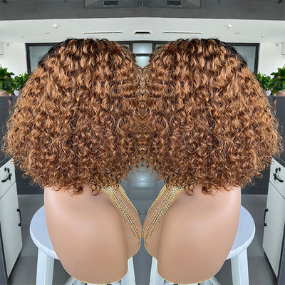 Curly Human Hair Lace Wig