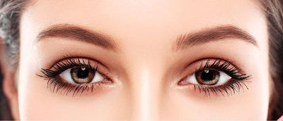 EELHOE Multi-functional Eyebrow Brush Set For Filling, Shaping, And Coloring Smooth Eyebrows Makeup Kit