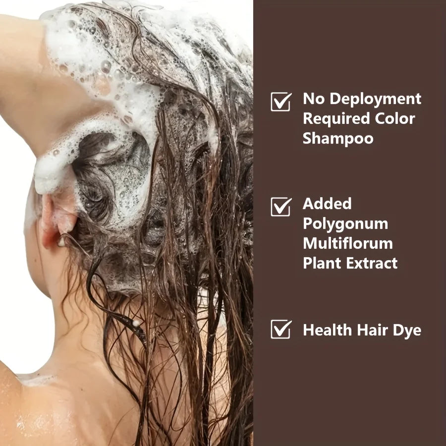 Rosemary & Ginger Black Hair Color Shampoo 3-in-1